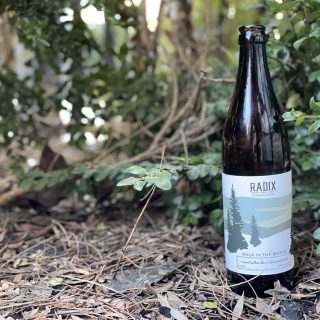 radix fermentations walk in the woods