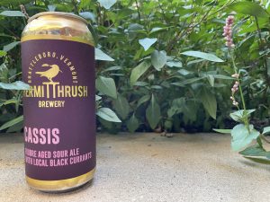 cassis hermit thrush